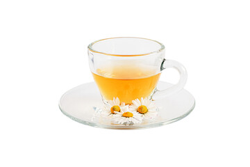Trasparent cup with camomile tea and fresh flowers on a saucer isolated on white baskground