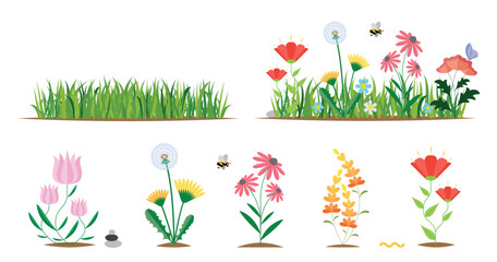 Flower and grass flat icon set isolated on white. Various colorful garden flowers and field flowers.