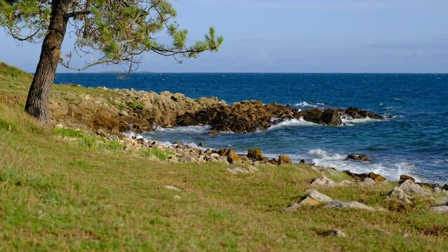 view of the coast of the sea. Rock in the beach. Morbihan, brittany france