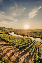 Weinberge in Deutschland