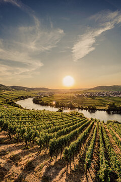 Weinberge Deutschland