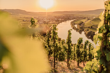 Weinberge in Deutschland