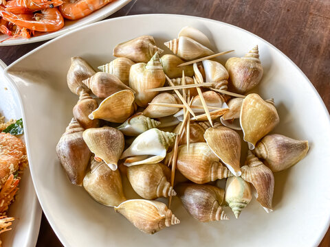 Delicious cooked "Gonggong" snails in a white plate bowl on a wooden table. Traditional boiled snails, authentic food of the Kepulauan Riau Islands Batam, Tanjung Pinang. Close-up top view high angle.