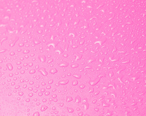 Purple pink water drops background texture macro photo