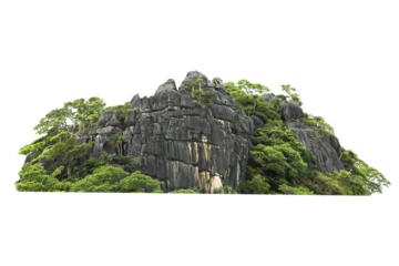 Green tree isolated on transparent background with clipping path, hill, mountain with clipping path and alpha channel. for both printing and web pages.