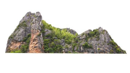 Green tree isolated on transparent background with clipping path, hill, mountain with clipping path and alpha channel. for both printing and web pages.