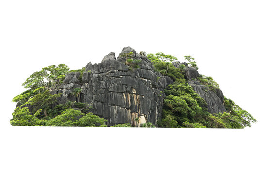 Green tree isolated on transparent background with clipping path, hill, mountain with clipping path and alpha channel. for both printing and web pages.