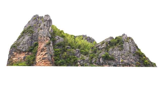 Green tree isolated on transparent background with clipping path, hill, mountain with clipping path and alpha channel. for both printing and web pages.