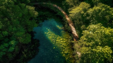 Nachhaltiger Waldweg
