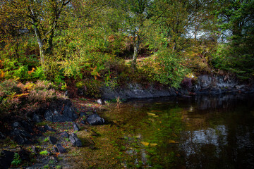 Llyn Elsi Gwydyr Forest - Lake reflections