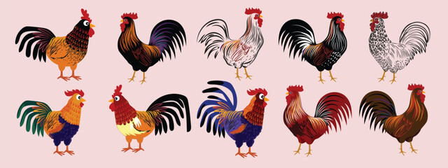 Set of chicken hen rooster icon character hand drawn vector illustration. Pet poultry farm animal symbol.
