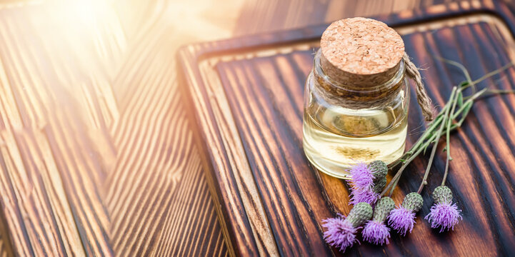 Canadian thistle, lettuce from hell thistle, cursed thistle, field thistle, green thistleapothecary bottles with tincture and essential oils for beauty salons and alternative medicine.