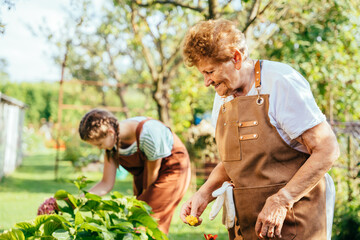Grandmother and granddaughter work in the garden together. Pensioner and teen girl in casual wear...