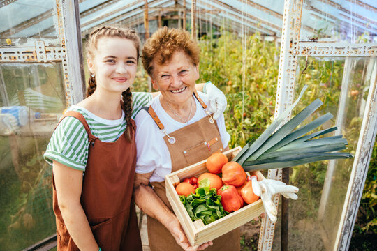 Organic farm food harvest concept. Portrait of laughing grandmother and her teen granddaughter in casual wear an apron holding wooden box full of fresh vegetables.