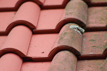 Cleaning the roof from lichen and moss before and after effect