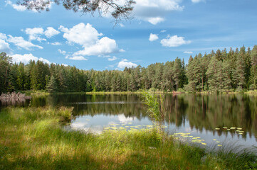 lake in the forest