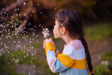 Little preschooler girl in striped sweater blowing on a dandelion making a wish