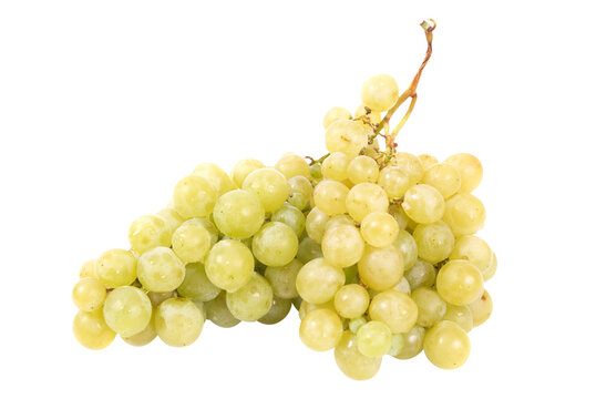 White grapes bunch branch in PNG isolated on transparent background