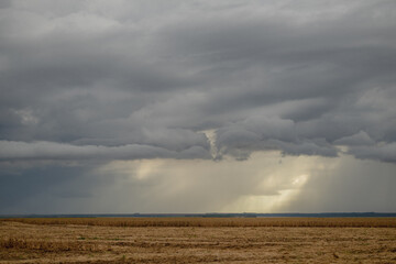clouds over the soy field