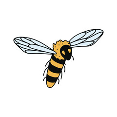 Single hand drawn bee. Doodle vector illustration. Isolated on a white background. Clip art
