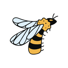 Single hand drawn bee. Doodle vector illustration. Isolated on a white background. Clip art