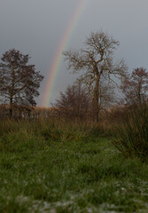 Rainbow over a field in Denbigh, Wales