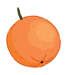 Orange fruit clipart. Citrus exotic fruit doodle isolated on white. Colored vector illustration in cartoon style.