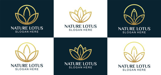 lotus flower vector template, with line shades and company logo