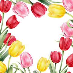 Frame with watercolor tulips and green leaf. Hand drawn watercolor illustration