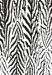 Nature Pattern. Organic Texture. Animal Background. Stripes Texture. Indigo Blue Color. Exotic Tiger Print. Safari Stylish Pattern. Savannah Fashion. Zebra Pattern, Animal Print. Fabric and Textiles.