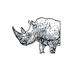 black and white sketch of a rhinoceros with transparent background