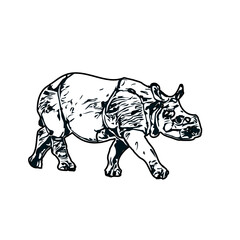 black and white sketch of a rhinoceros with transparent background