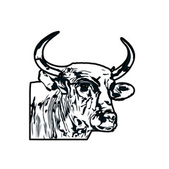 black and white sketch of a bull with transparent background