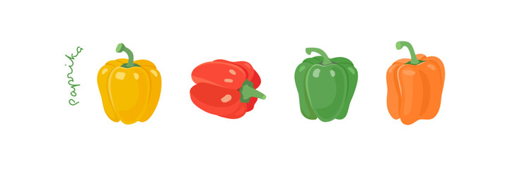 Set of sweet peppers in red, yellow, green, orange. Vertical banner of colourful paprika lying in row on table. Vector illustration on white isolated background. Side view.