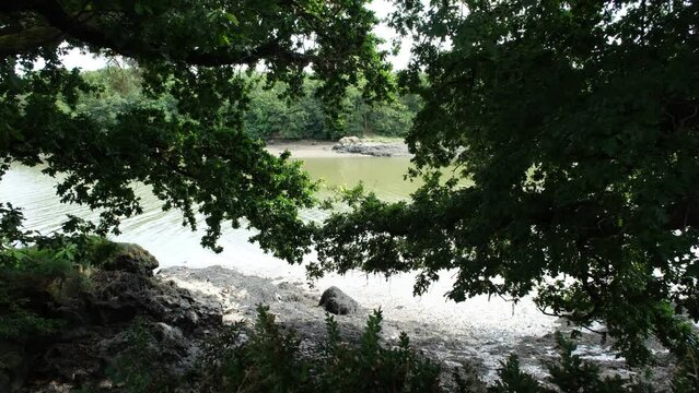river in the forest. Morbihan, france. City of Auray, river of Auray. Sunset