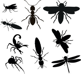 Set of differents insect icons, silhouette vector illustration