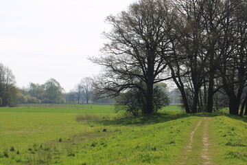 Hiking paths in northwestern Germany, close to the town of Fischerhude