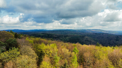 Forrest from above, beautiful landscape, cloudy sky