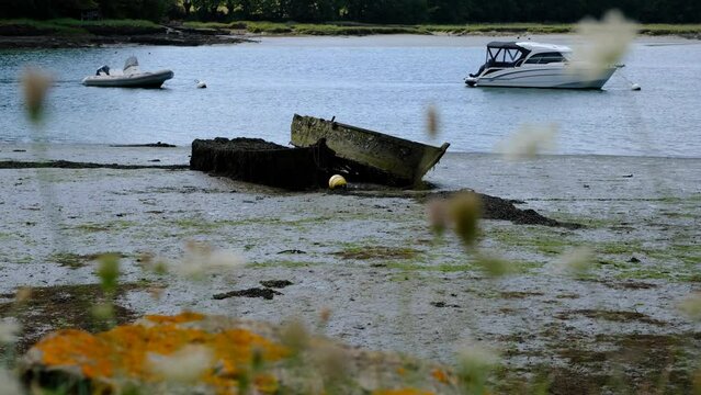 boat on the river. Morbihan, river of auray. Brittany france