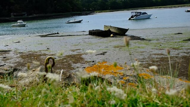 boat on the river. River of Auray, bretagne, morbihan
