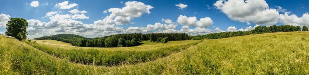panorama hill country side with path between meadows and trees