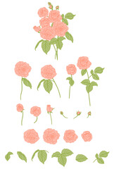Set Of Orange Shropshire Roses