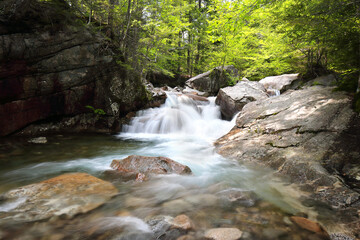Franconia State Park - Basin Falls