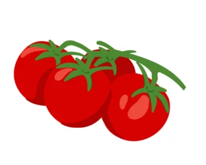 Fotobehang Bunch of red tomatoes isolated on white background. Vector illustration © Tetiana Kasatkina