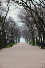 Parkway or avenue in public park in Chicago, Illinois with benches, trees, lanterns lakeshore of Lake Michigan on grey misty foggy stormy day in Springtime