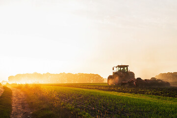 a tractor in a field plows the ground at dawn, sowing grain. High quality photo - Powered by Adobe