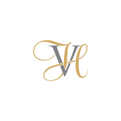 VH or HV Letters Logo Icon 010
