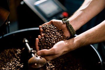 A worker inspects fragrant roasted coffee beans taking them in his hands at the production plant close-up