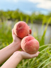 peach