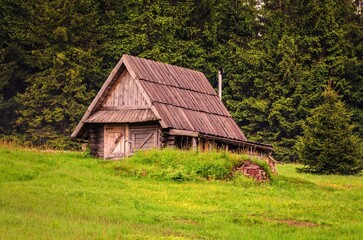Wooden hut in green forest scenery. Idyllic shed situated on green clearing with pine trees at the background.